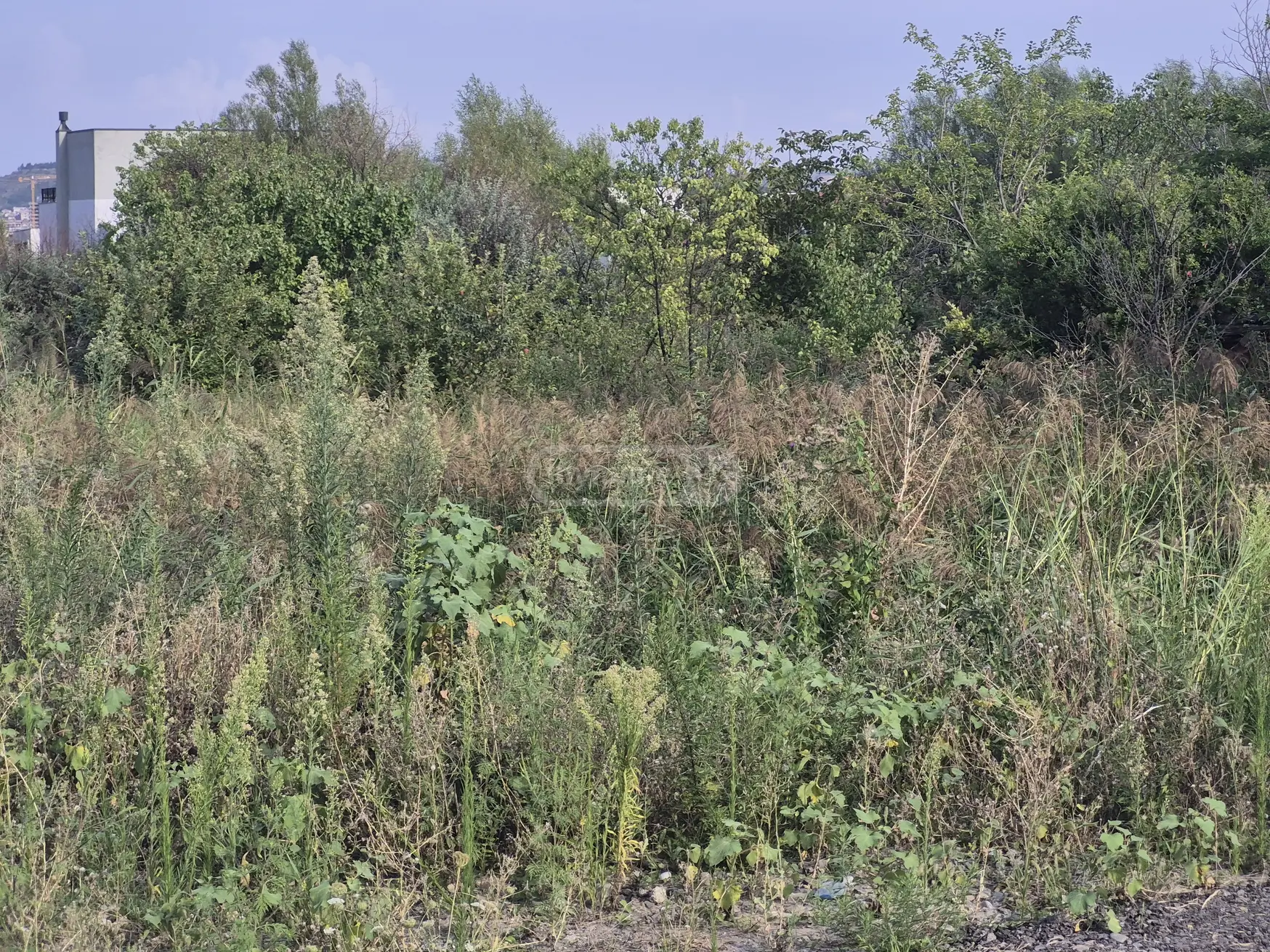 Agricultural Plot For Sale In Didi Digomi view 8