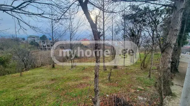 Agricultural Plot For Sale In Batumi view 4