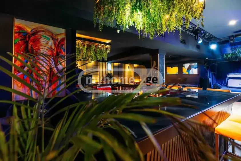 Food Object Commercial Area For Sale In Avlabari view 12