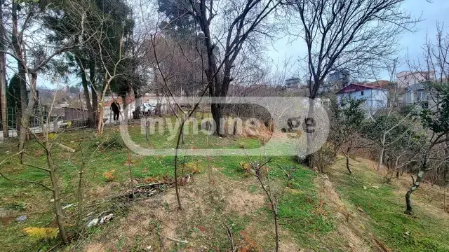Agricultural Plot For Sale In Batumi view 2