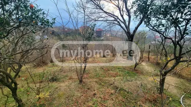 Agricultural Plot For Sale In Batumi view 5