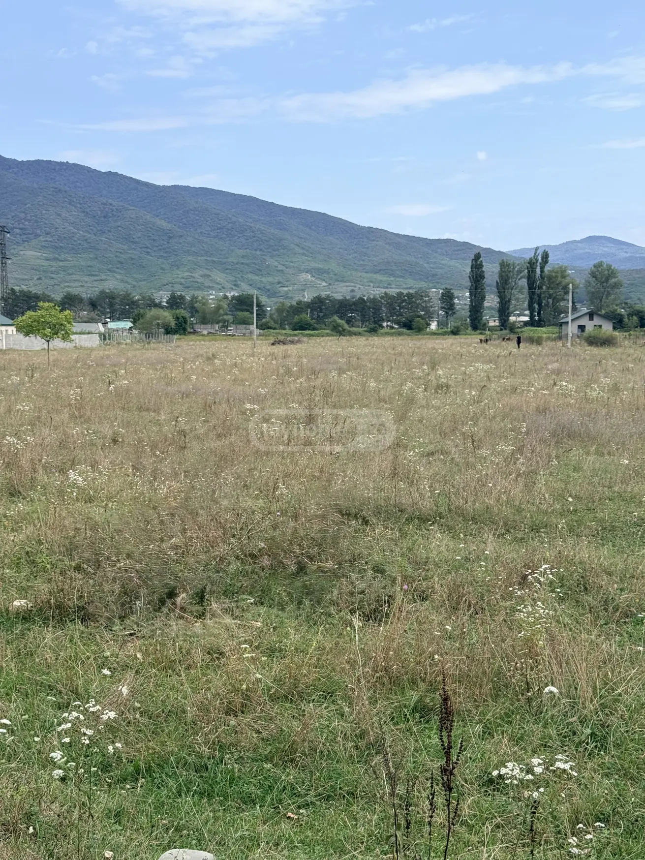 Продажа Agricultural Plot в In Navazi, In Mtskheta Municipality view 8