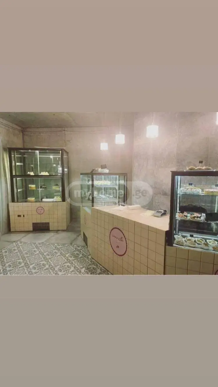 Universal Commercial Area For Sale In Shindisi view 9