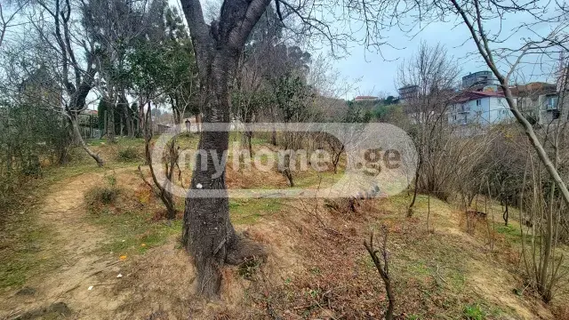 Agricultural Plot For Sale In Batumi view 8