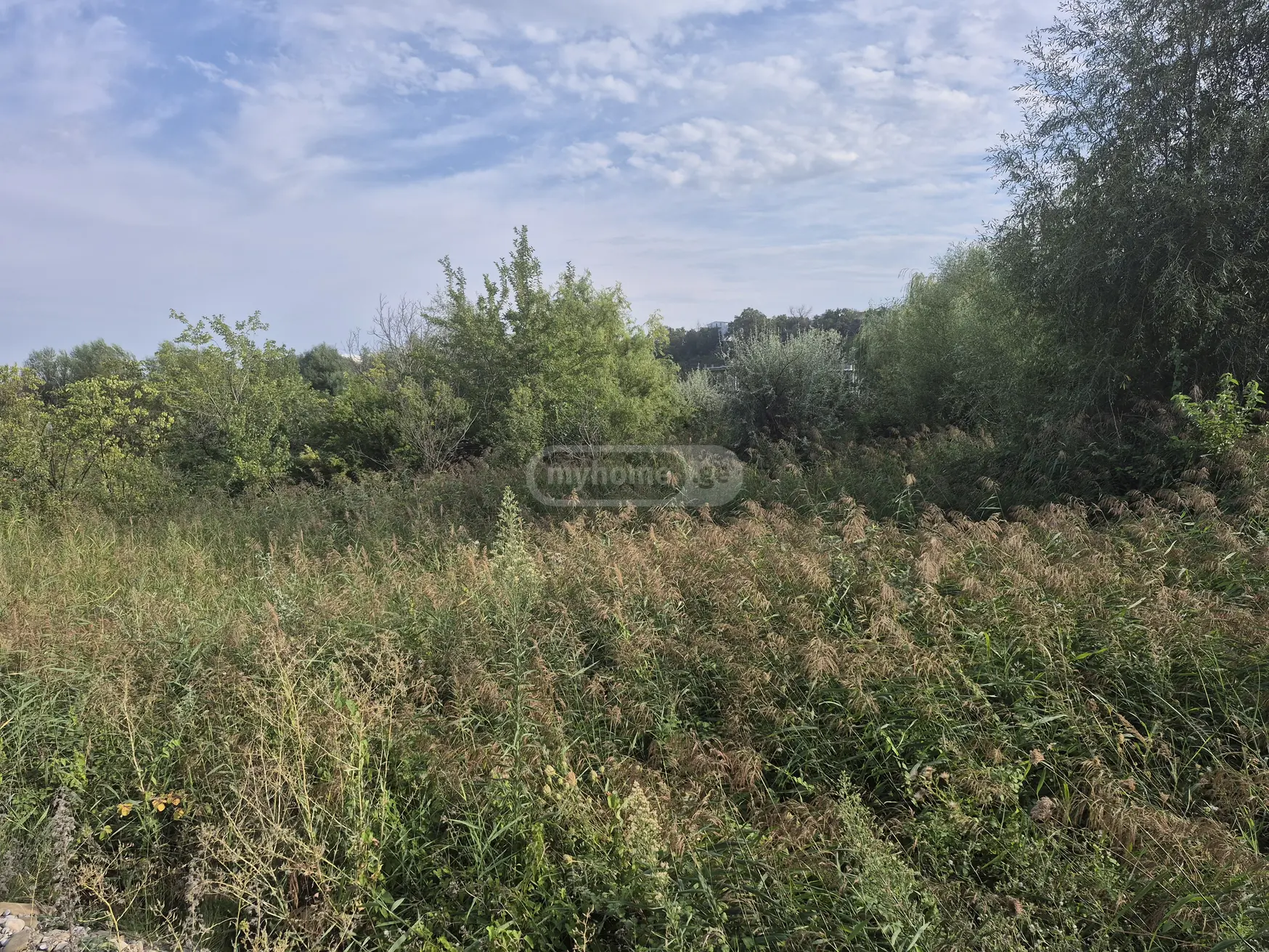 Agricultural Plot For Sale In Didi Digomi view 6