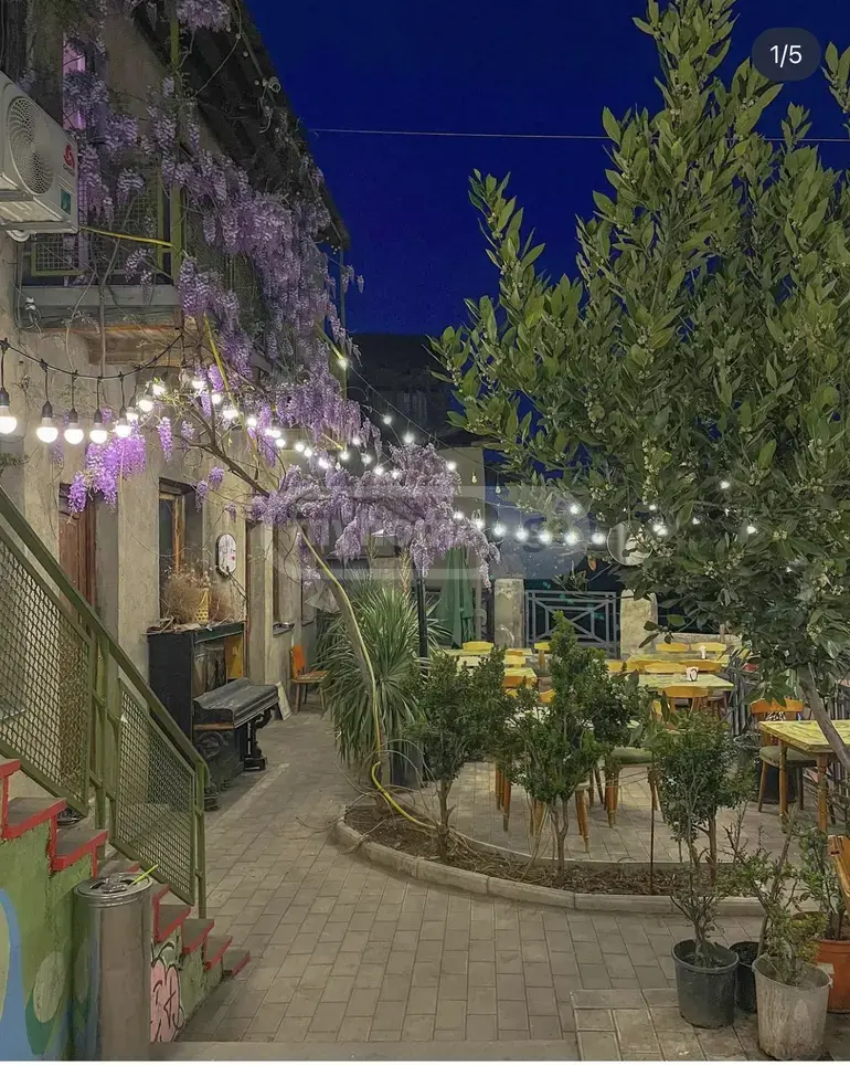 Universal Commercial Area For Sale In Shindisi view 14