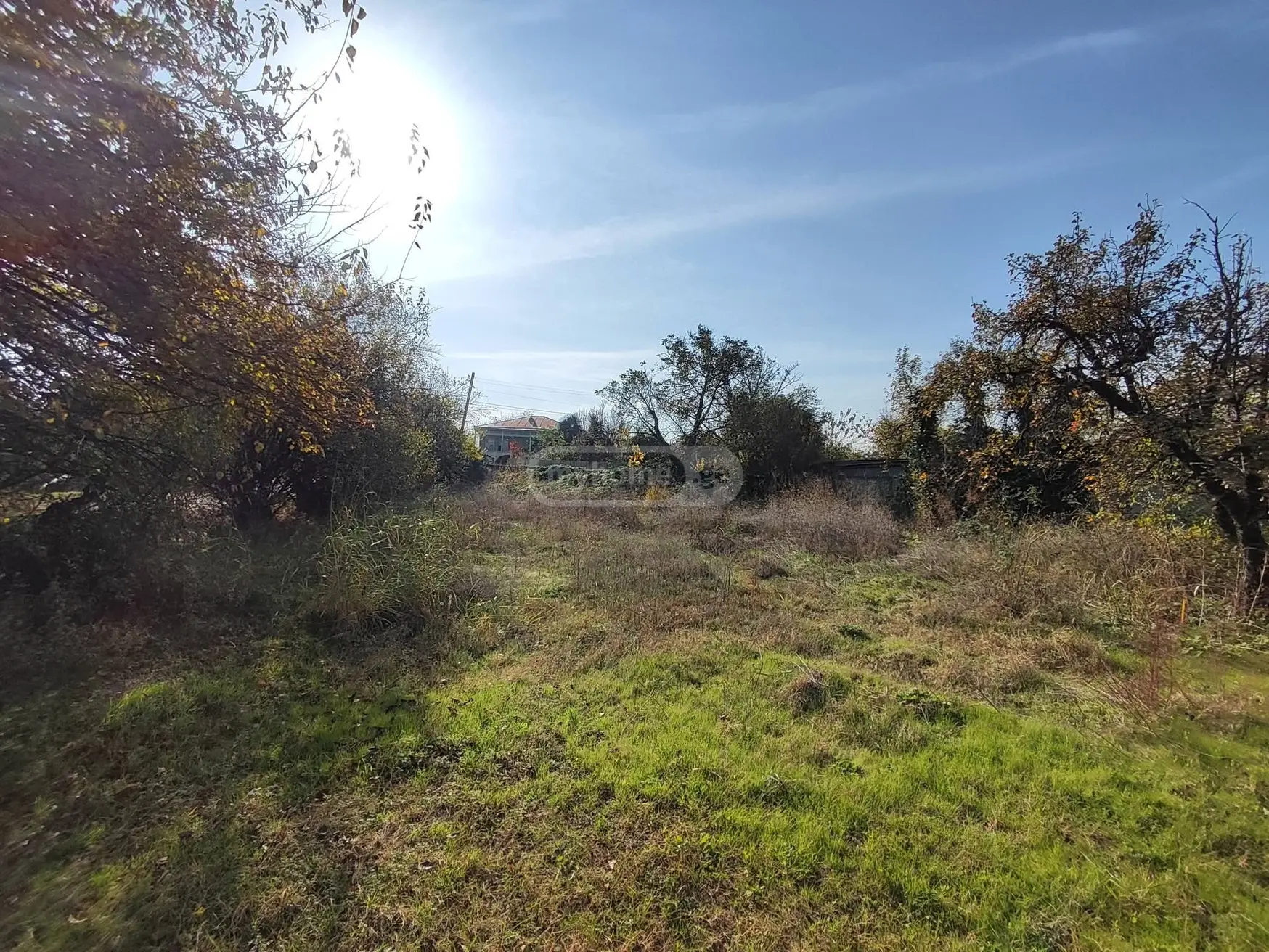 Agricultural Plot For Sale In Shashiani, In Gurjaani Municipality view 2