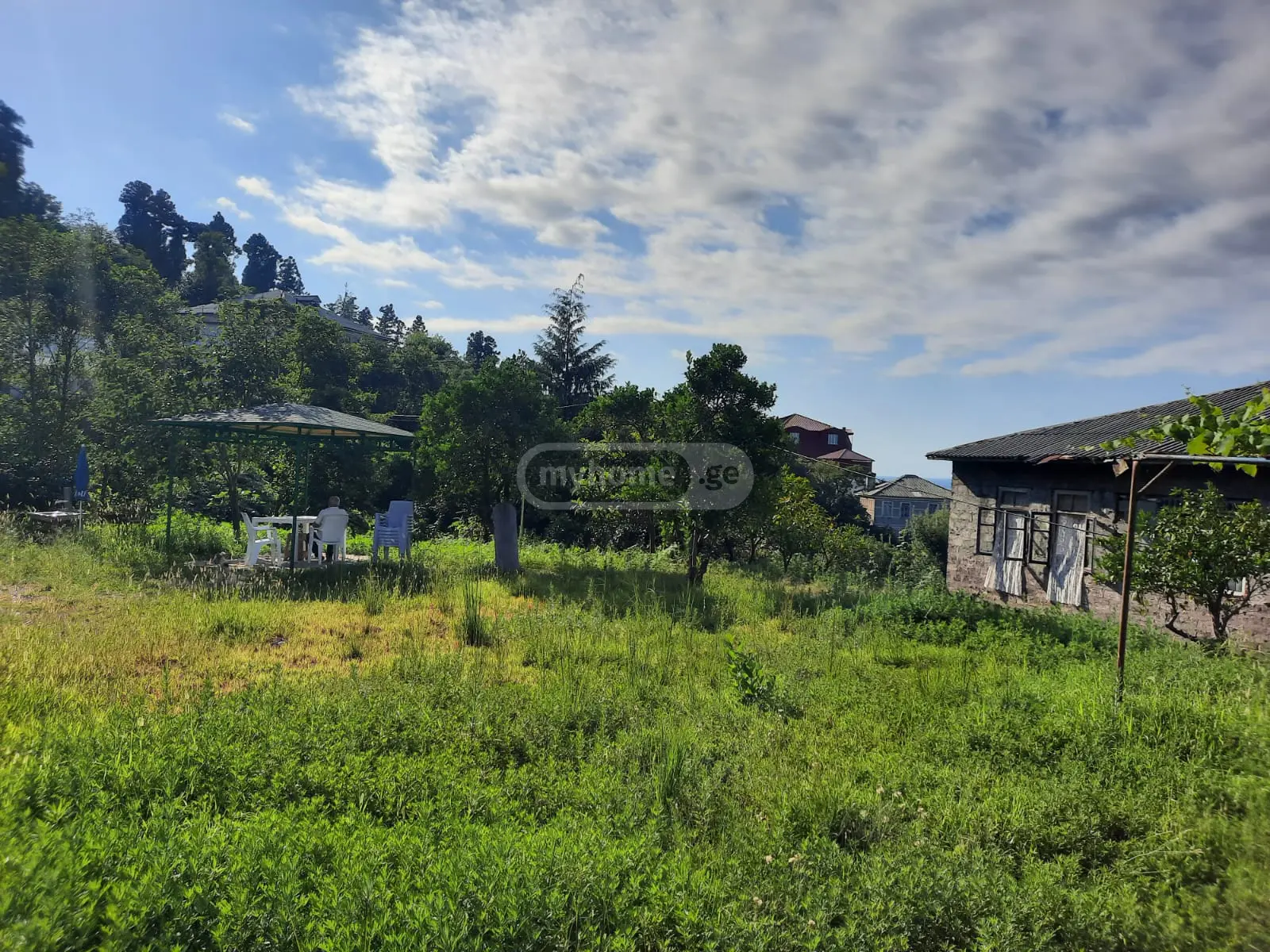 Agricultural Plot For Sale In Batumi view 9