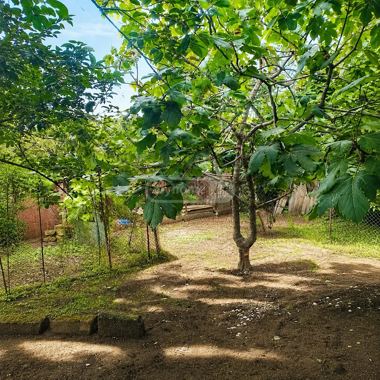 4 Room Private House For Sale view 12