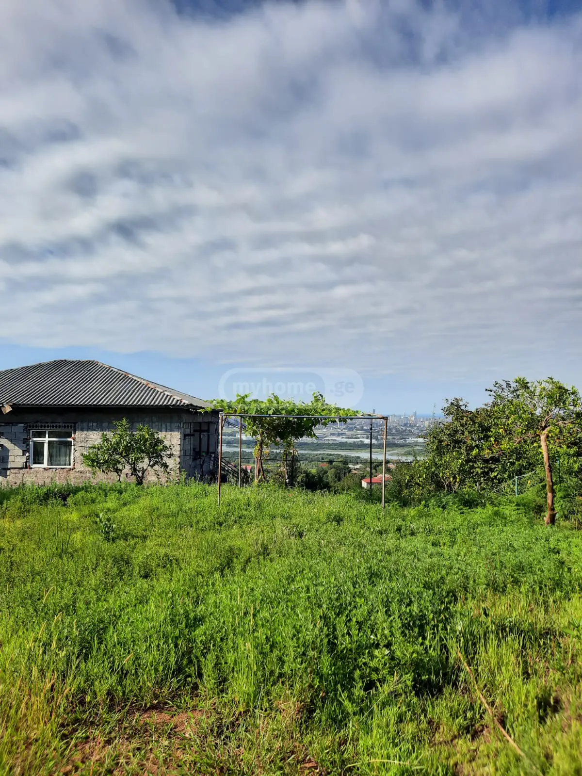 Agricultural Plot For Sale In Batumi view 6