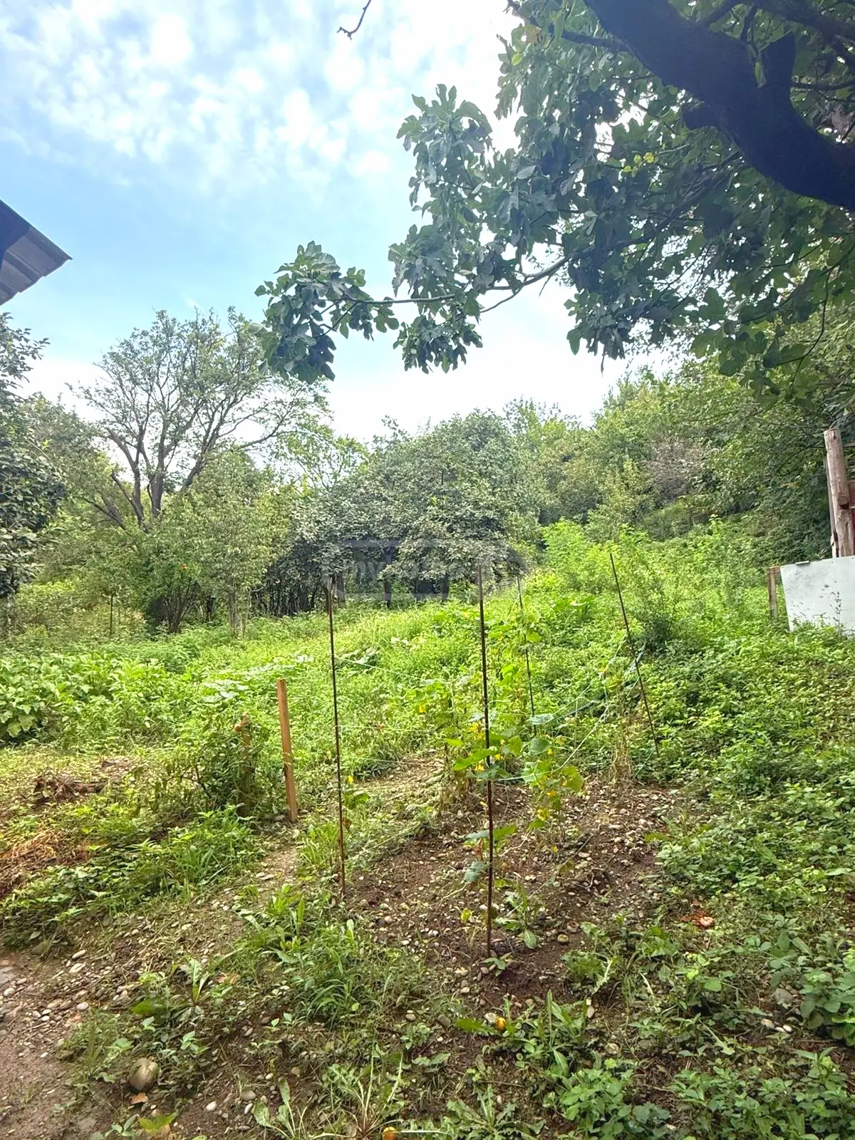5 Room Private House For Sale view 3