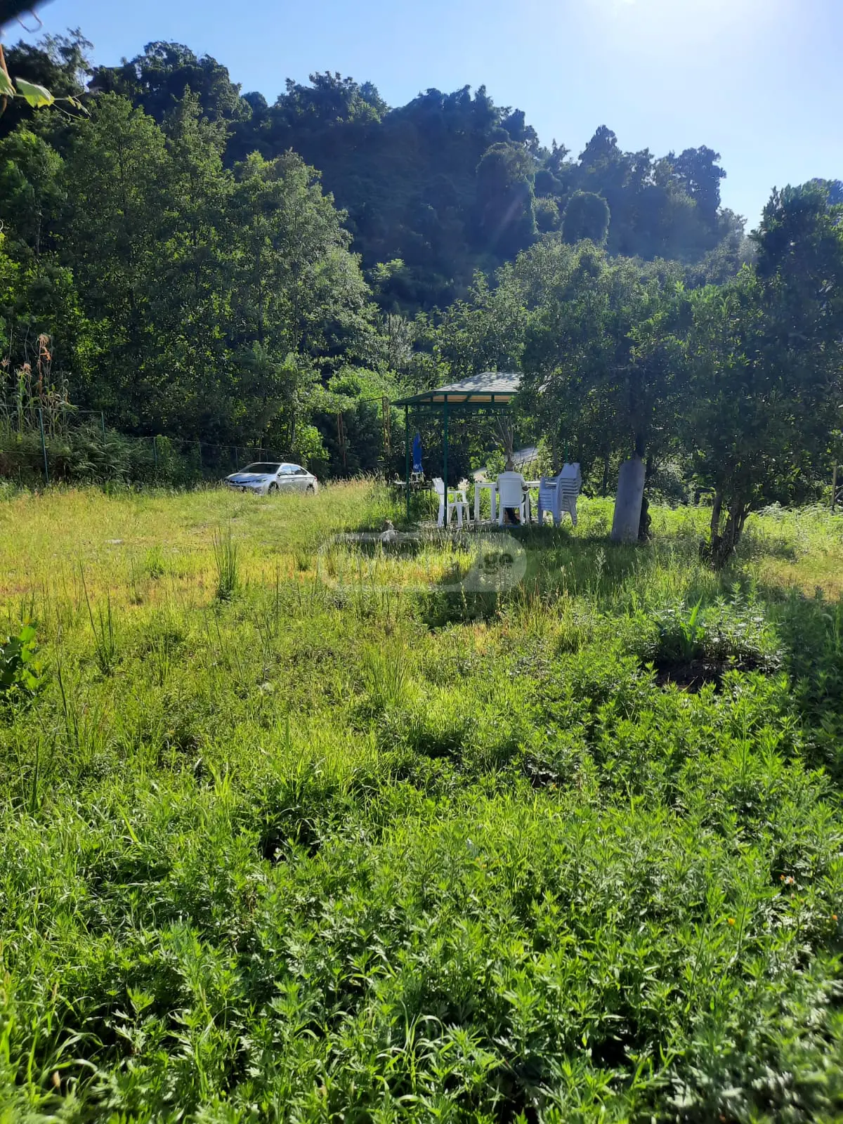 Agricultural Plot For Sale In Batumi view 1