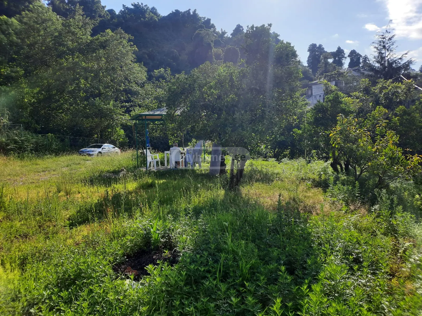 Agricultural Plot For Sale In Batumi view 4