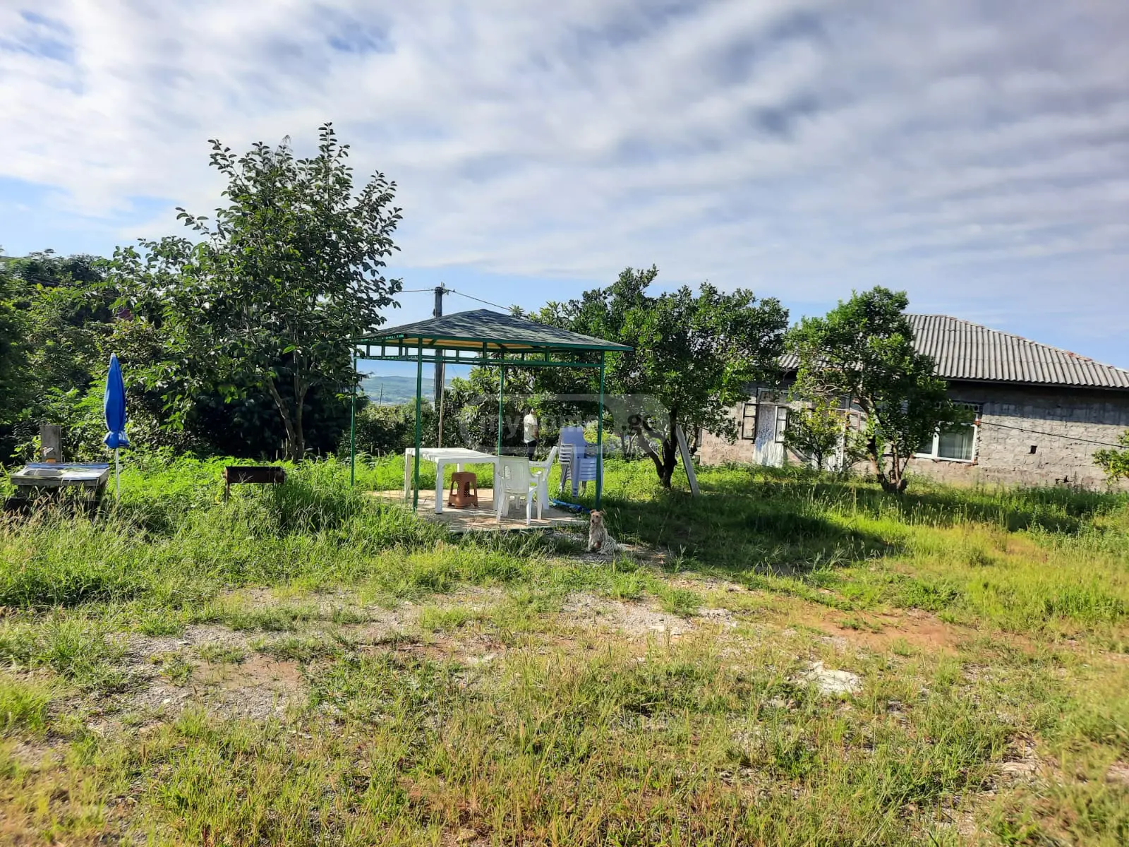 Agricultural Plot For Sale In Batumi view 11