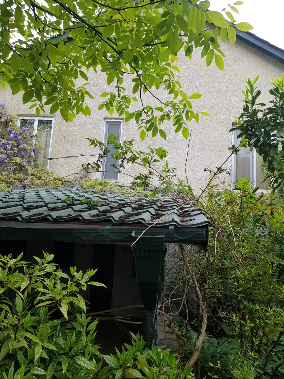4 Room Country House For Sale view 2