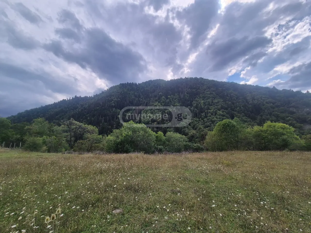 Agricultural Plot For Sale In Tba, In Borjomi Municipality view 4