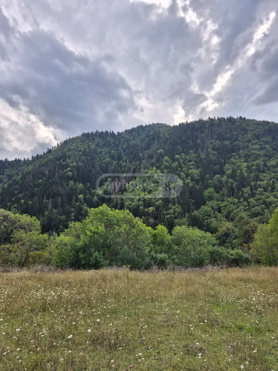 Agricultural Plot For Sale In Tba, In Borjomi Municipality view 3