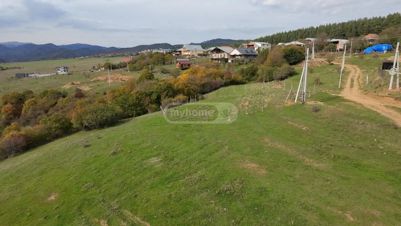 იყიდება Agricultural Plot In Manglisiში view 1