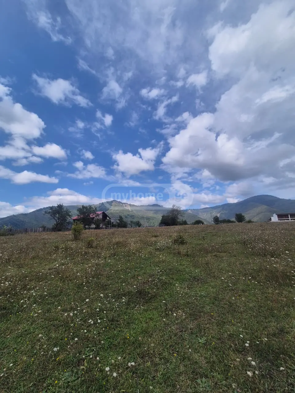 Agricultural Plot For Sale In Tba, In Borjomi Municipality view 6