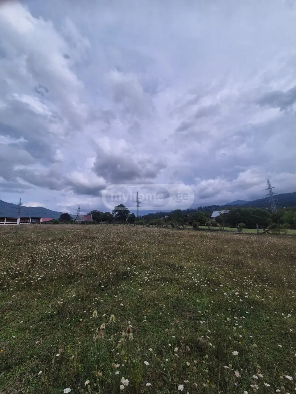 Agricultural Plot For Sale In Tba, In Borjomi Municipality view 5
