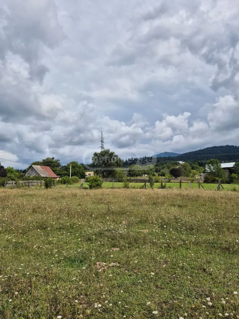 Agricultural Plot For Sale In Tba, In Borjomi Municipality view 9