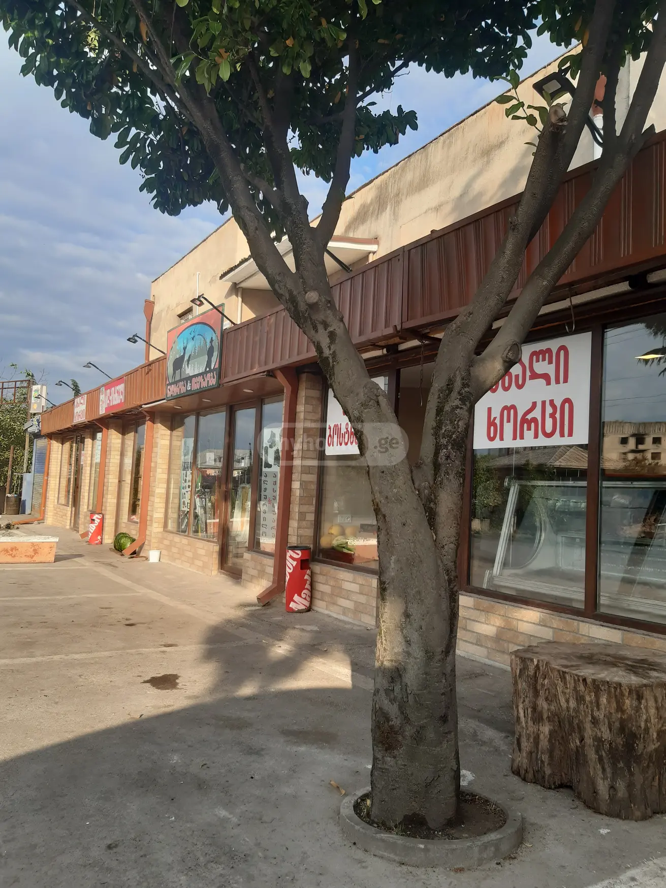 Trade Commercial Area For Sale In Gurjaani view 4