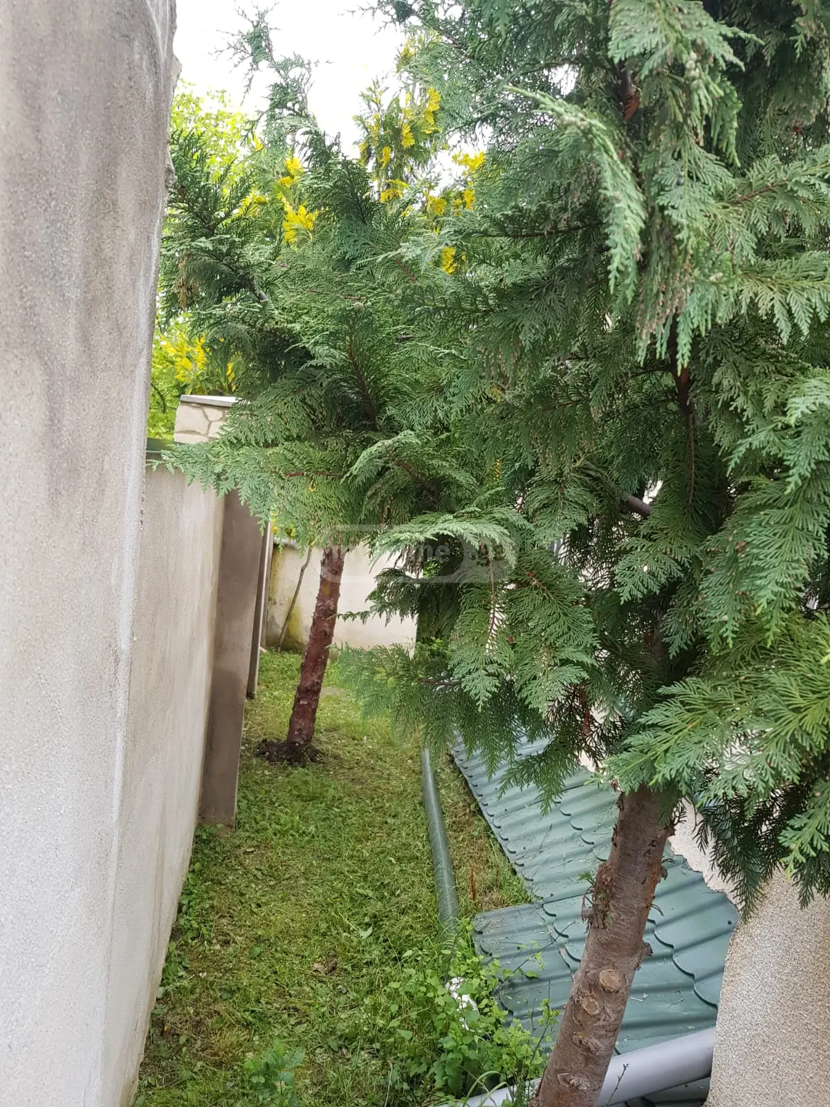 4 Room Country House For Sale view 6