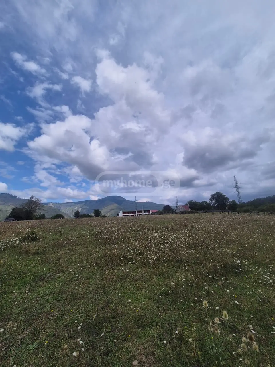 Agricultural Plot For Sale In Tba, In Borjomi Municipality view 7