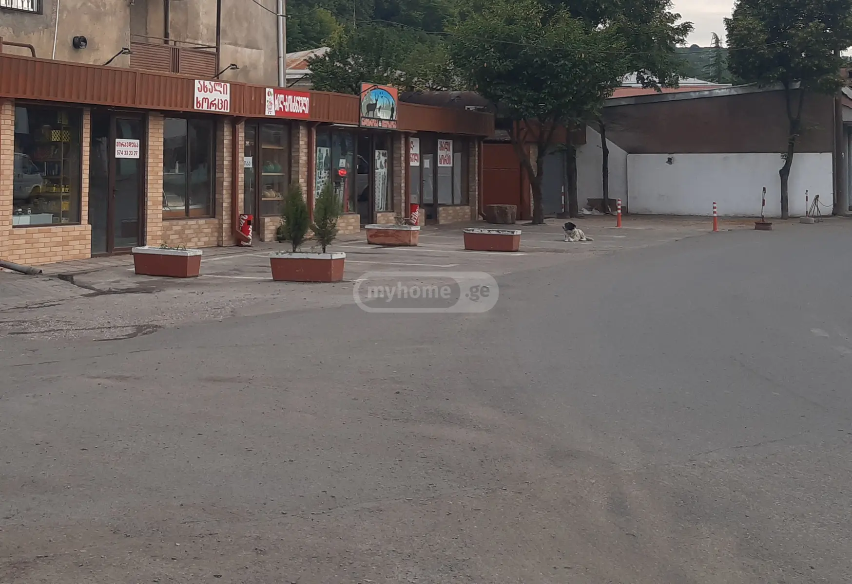 Trade Commercial Area For Sale In Gurjaani view 5