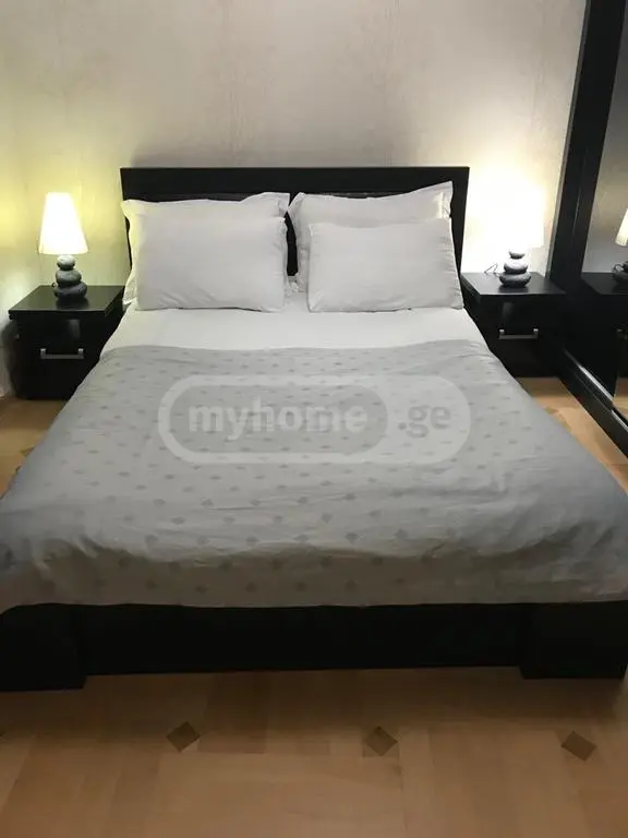 3 Room Apartment Daily Rent In Abanotubani view 15
