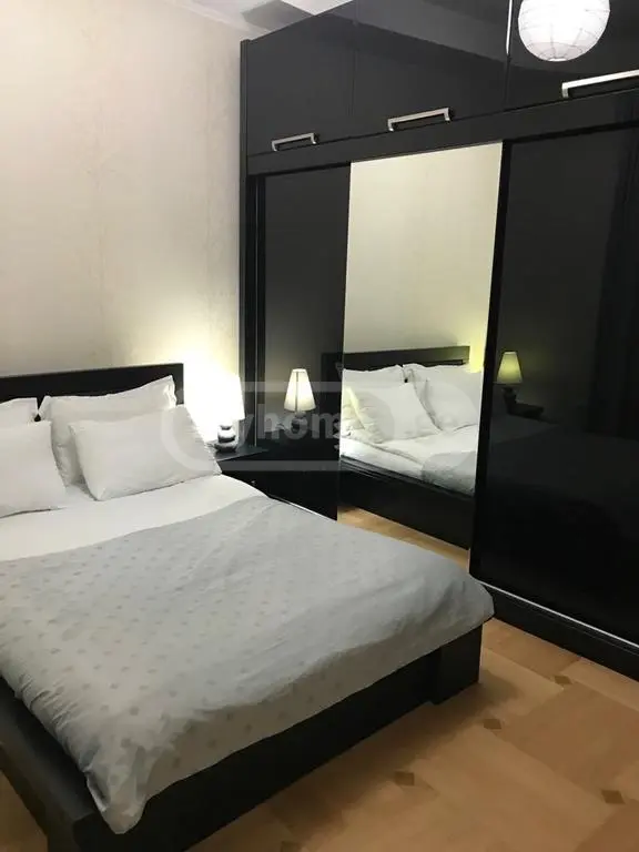 3 Room Apartment Daily Rent In Abanotubani view 14