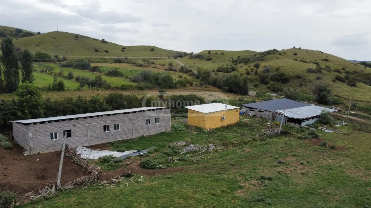 Agricultural Plot For Sale In Martkopi, In Gardabani Municipality view 1