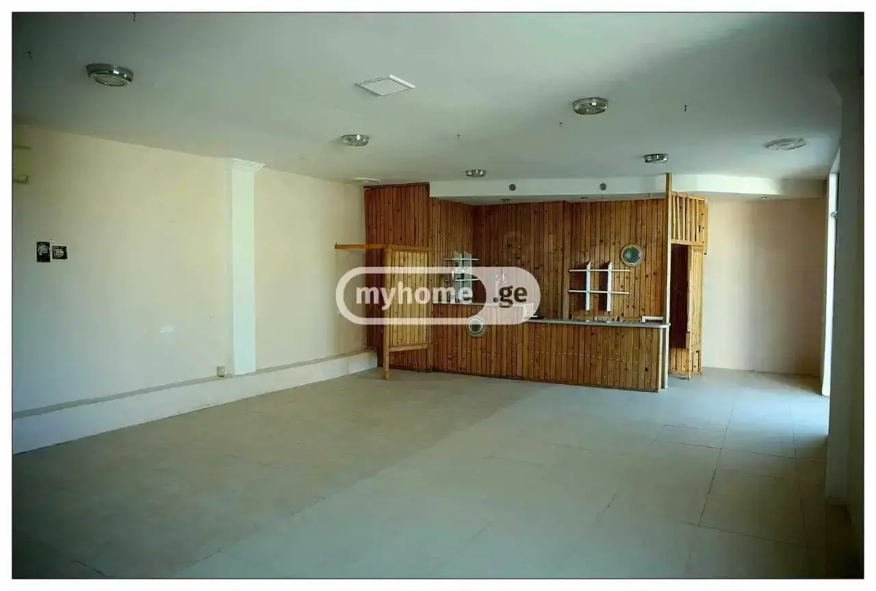 Universal Commercial Area For Sale In Tsavkisi view 5