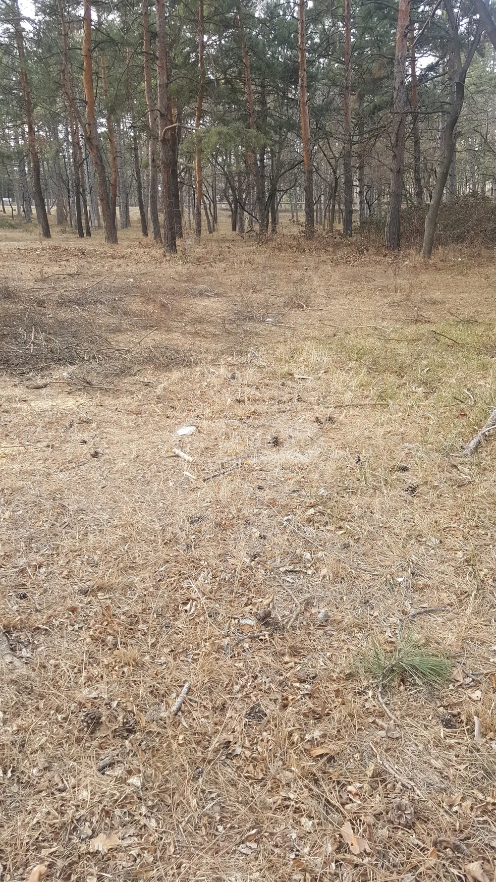 Agricultural Plot For Sale In Tskneti view 4
