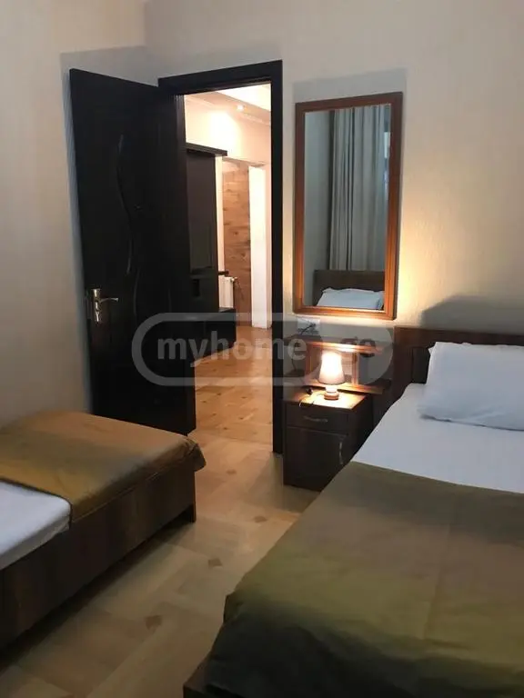 3 Room Apartment Daily Rent In Abanotubani view 11