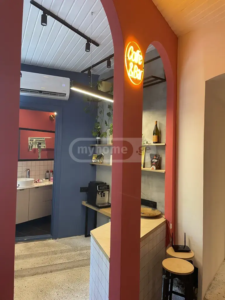 Universal Commercial Area For Sale In Tskneti view 8