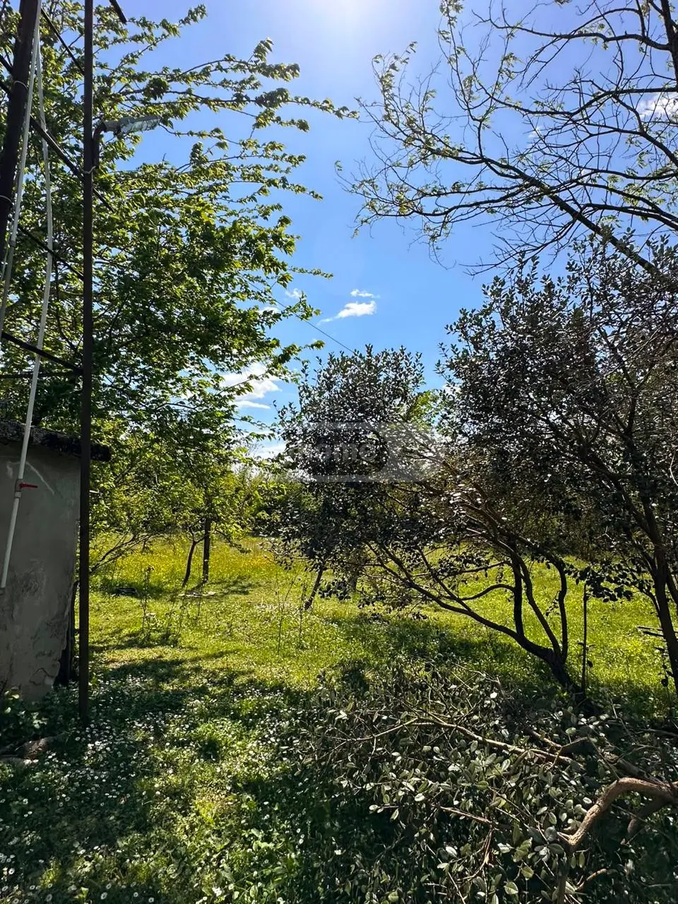 5 Room Private House For Sale view 6