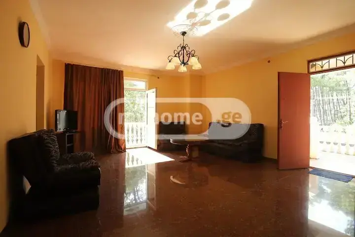 10+ Room Private House For Sale In Grigoleti, In Lanchkhuti Municipality view 5