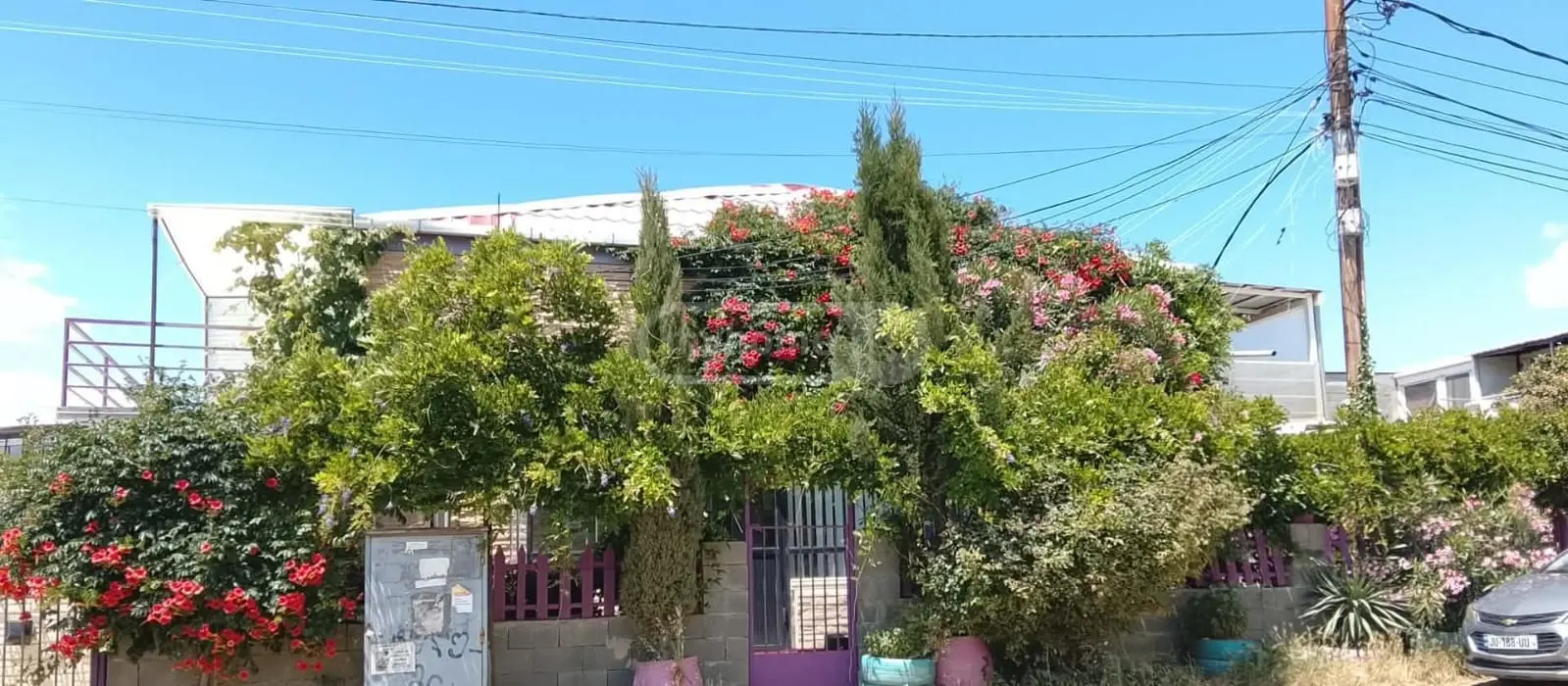 3 Room Private House For Sale view 56