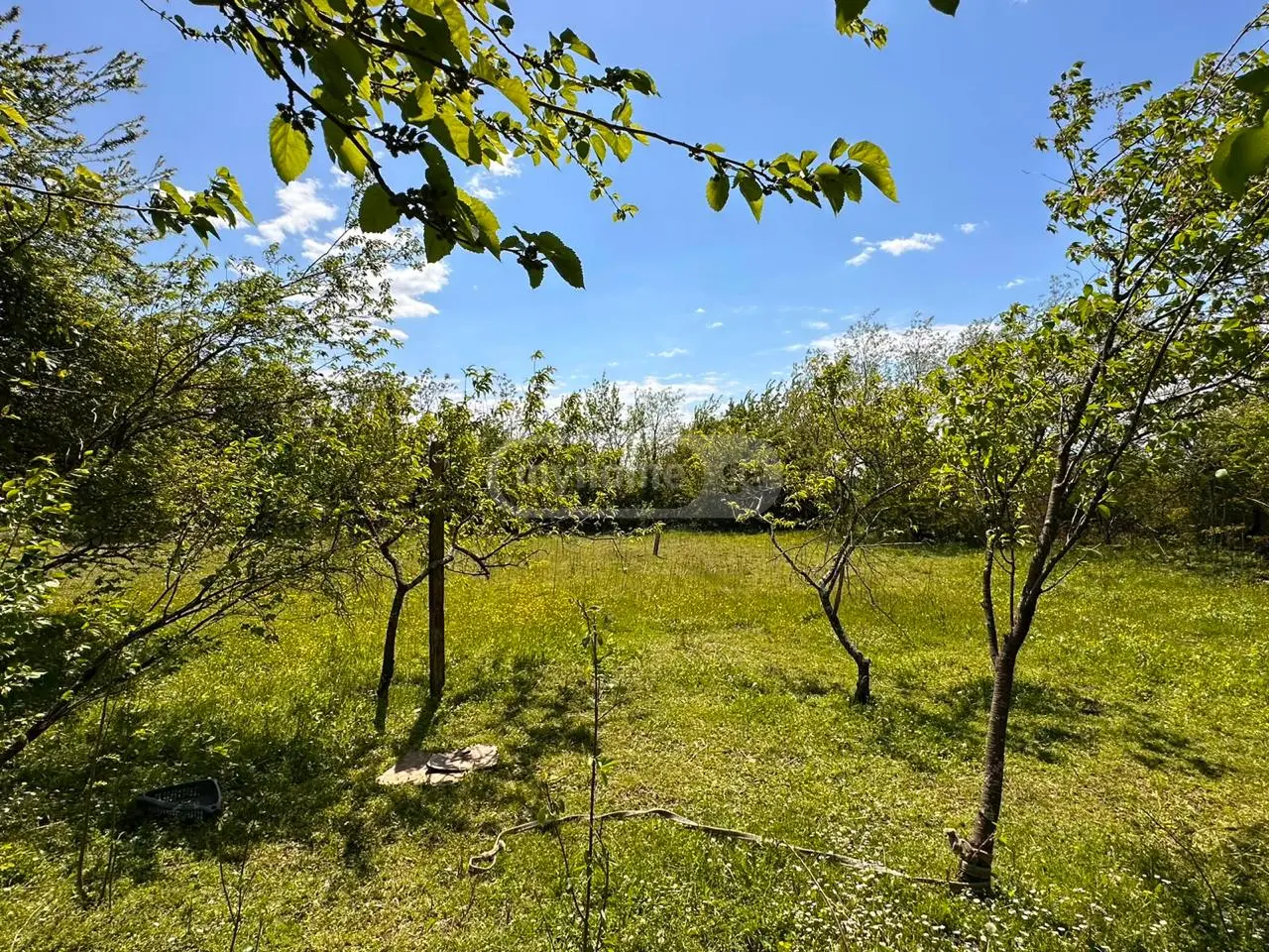 5 Room Private House For Sale view 4