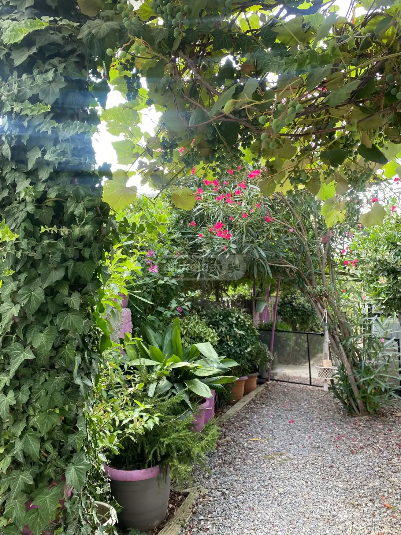 3 Room Private House For Sale view 60