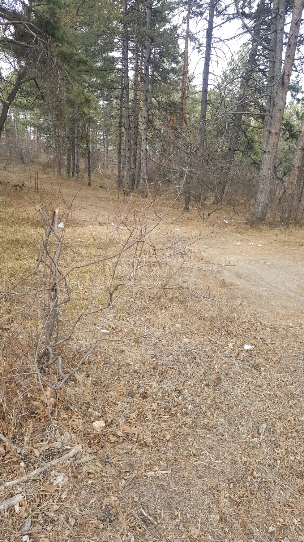 Agricultural Plot For Sale In Tskneti view 3