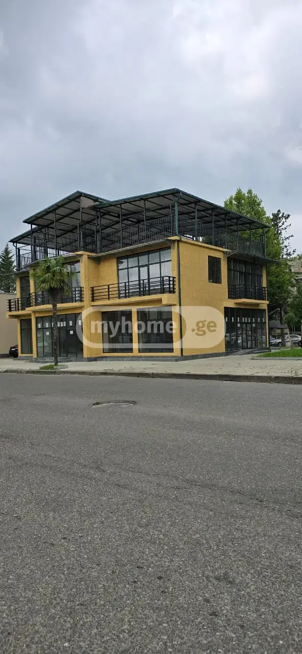 Universal Commercial Area For Rent In Samtredia view 4
