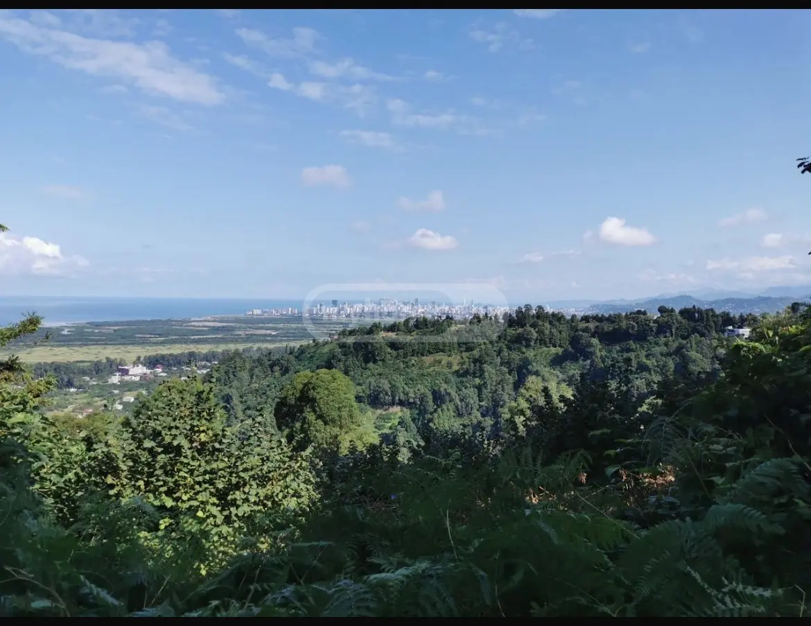 Agricultural Plot For Sale In Gonio, In Khelvachauri Municipality view 1