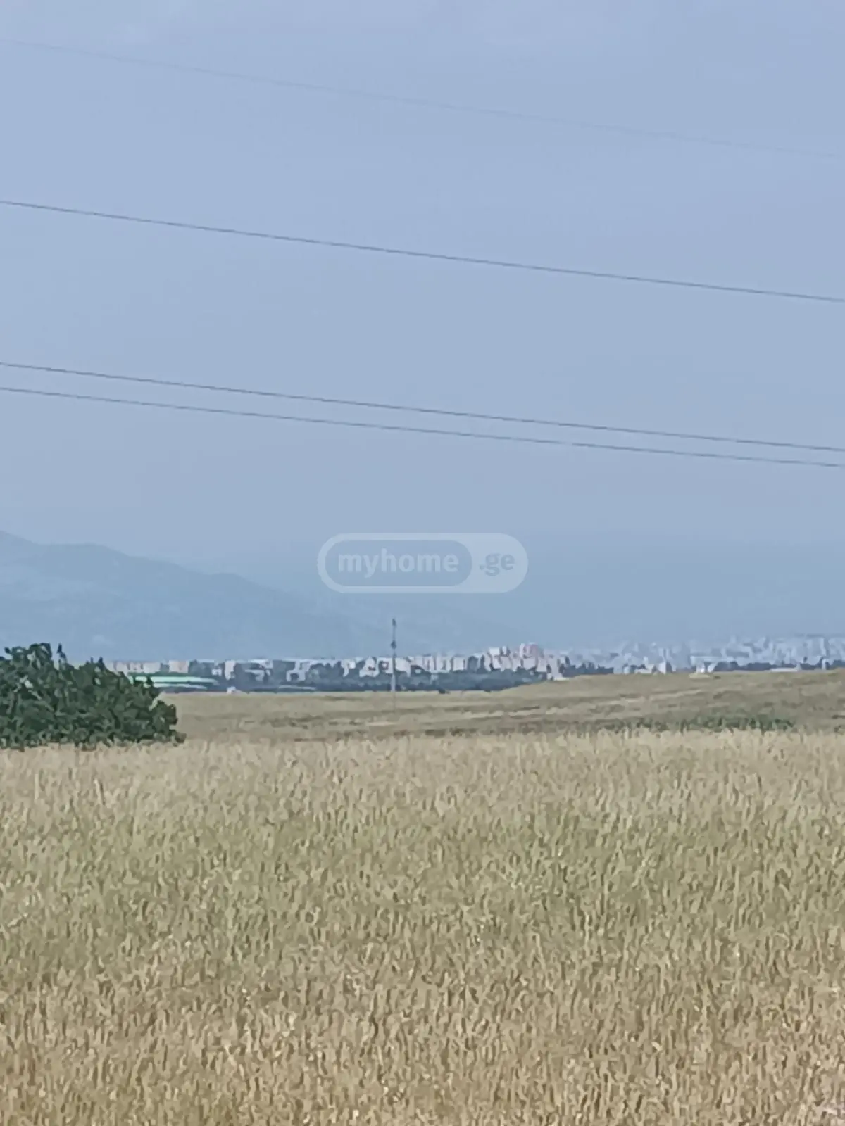 Agricultural Plot For Sale In Vaziani, In Gardabani Municipality view 6