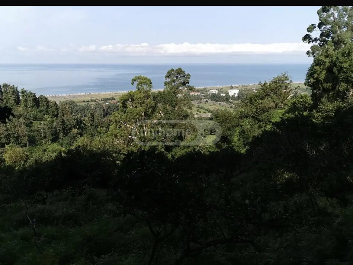 Agricultural Plot For Sale In Gonio, In Khelvachauri Municipality view 4