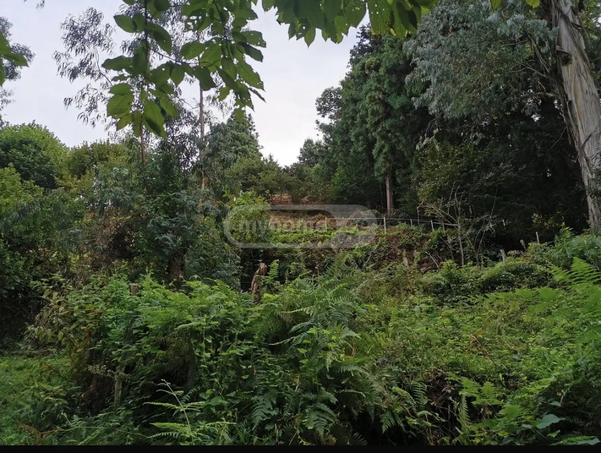 Agricultural Plot For Sale In Gonio, In Khelvachauri Municipality view 5