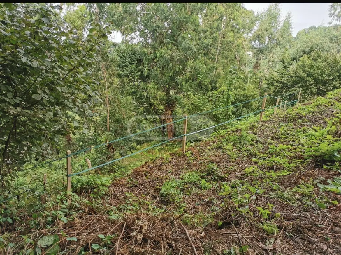 Agricultural Plot For Sale In Gonio, In Khelvachauri Municipality view 6