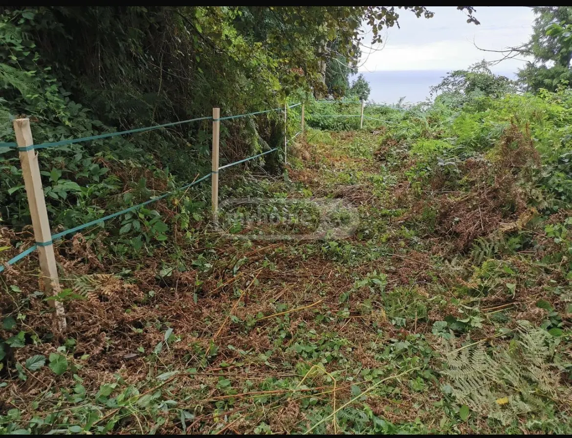 Agricultural Plot For Sale In Gonio, In Khelvachauri Municipality view 2