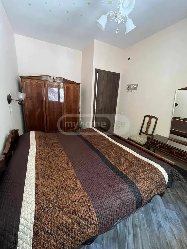 3 Room Apartment For Rent In Tskneti view 41